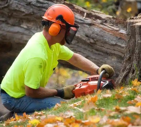 tree services Old Bethpage